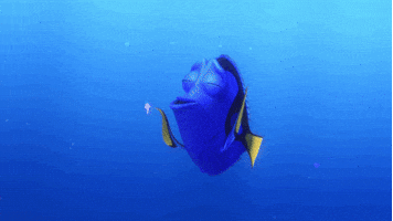 disney pixar ocean GIF by Disney
