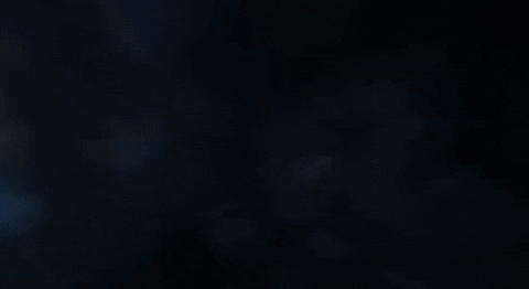 Shiba GIF by SHIBABETS.GG