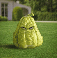 Plants Vs Zombies Plant GIF