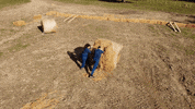 Euskara Euskalherria GIF by EiTB