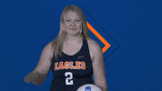 Sports Ball GIF by Carson-Newman Athletics