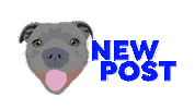 Dog New Post Sticker by Two Tibetans Digital