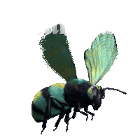 Happy Baby Sticker by Kinderkraft