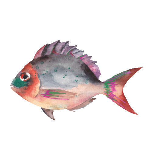 Sunglasses Fish Sticker by Imbarro Home & Fashion