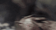 ritter GIF by funk