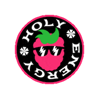 Holy Lion Sticker by HOLY Energy