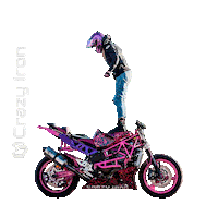 Motorcycle Stuntbike Sticker by Crazy Iron