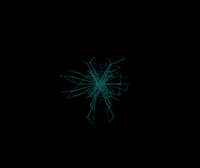 quasicrystals 3d abstract crystals webgl GIF