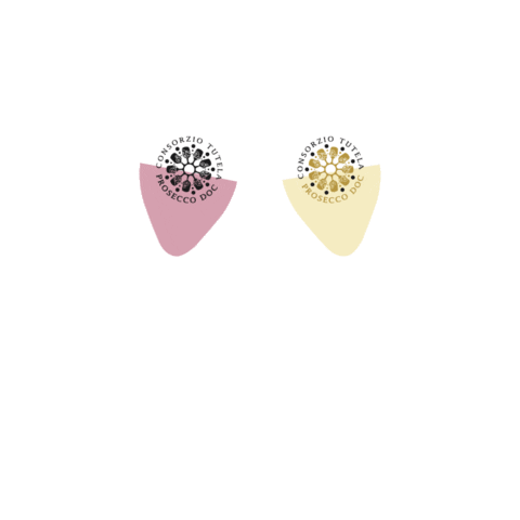 Party Celebration Sticker by ProseccoDOC