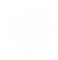 Flower Power Sticker