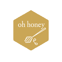kaiorahoney bee honey manuka honeybees Sticker