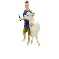 Fuselettlingen beer bier craftbeer alpaca Sticker