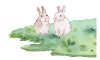 Chinese Bunny Sticker