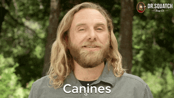 K 9 Teeth GIF by DrSquatchSoapCo