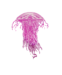 natural history animation Sticker by SecretCrab