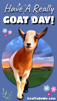 Good Day Pets GIF by Goatta Be Me Goats! Adventures of Java, Toffee, Pumpkin and Cookie!
