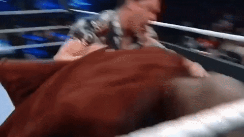 [Image: giphy.gif]