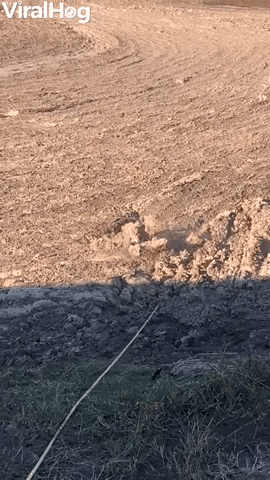 Creature From the Pond at the Paper Mill