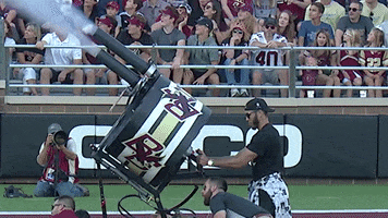 Get In Lets Go GIF by Boston College Eagles