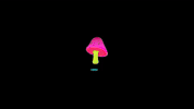 weijianzhou cat cute future retrowave GIF