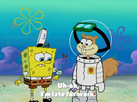 season 4 GIF by SpongeBob SquarePants