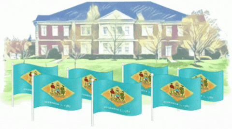 Flags For Delaware