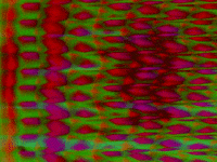 Video Art GIF by cskonopka