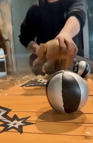 Armadillo Becomes One With Ball Toy