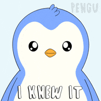 Told You So Penguin GIF by Pudgy Penguins