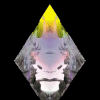 Digital Collage Art GIF by John Fogarty