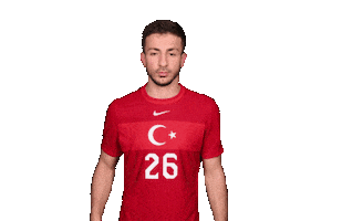 Euro 2020 Soccer Sticker by UEFA