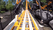 bobbejaanland fury rollercoaster bobbejaanland GIF