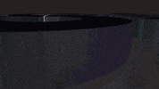 Diversification GIF