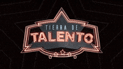 16escalones tt tierra de talento tierradetalento josemerce GIF