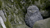 GIF by ARTE