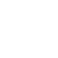 Bird Sticker by Yin Wrong