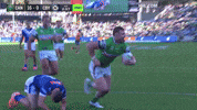 Nrl GIF by Canberra Raiders