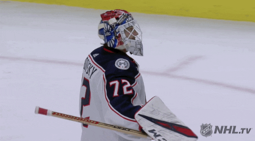 Ice Hockey Hug GIF by NHL