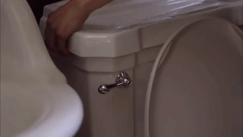 season 3 toilet GIF by Portlandia