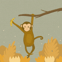 Alergora illustration nature monkey draw GIF