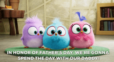 AngryBirdsMovie fathers day angry birds angry birds movie GIF