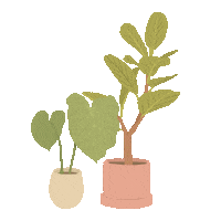 Plants Islam Sticker by aaplus