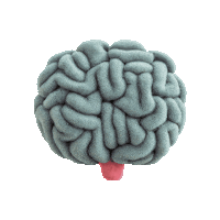 3D Brain Sticker