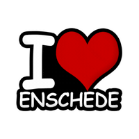 Fc Twente Love Sticker by Enschede