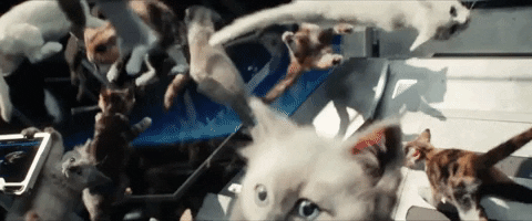 Immortal_Tyrant giphyupload GIF
