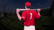 Baseball GIF by Seattle U Redhawks