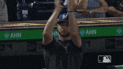 Major League Baseball Sport GIF by MLB