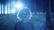 TheAvenue_Film florida fantasy tiger zoo GIF