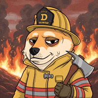 Burning Shiba Inu GIF by Doge Pound