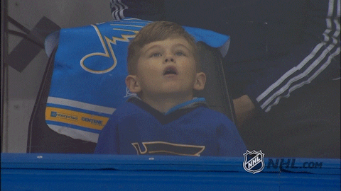 stanley cup playoffs nhl fans GIF by NHL